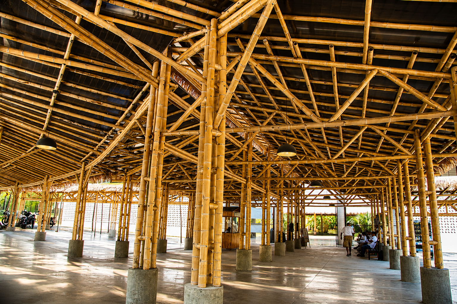 Arquitectura Orgánica